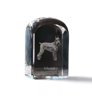 Schnauzer I - un cube de cristal avec une photo, une photo de chien dans le cristal, un presse-papiers cubique de la marque Art-Dog