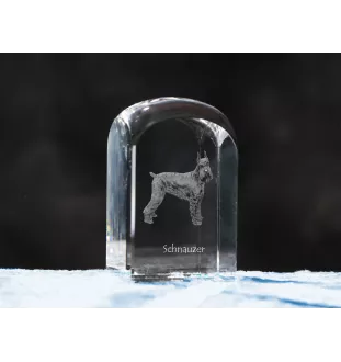 Schnauzer I - crystal cube with a photo, photo of a dog in crystal, cubic paperweight from Art-Dog brand