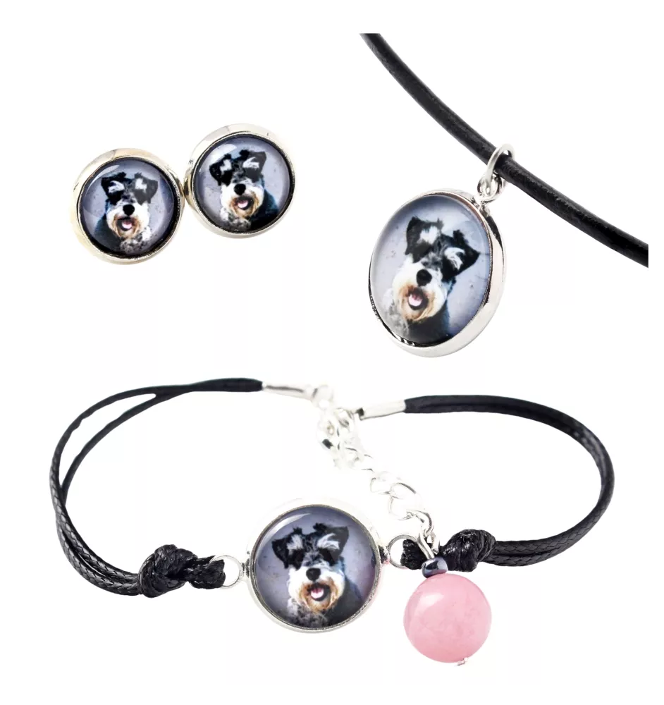 Schnauzer - a set of jewelry in a box, necklace, earrings, bracelet, products from the Art-Dog brand