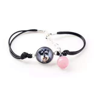 Schnauzer - a set of jewelry in a box, necklace, earrings, bracelet, products from the Art-Dog brand