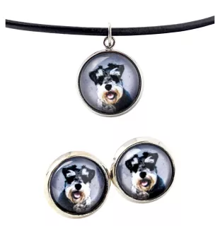Schnauzer - boîte à bijoux avec votre photo, ensemble collier et boucles d'oreilles, produits personnalisés de la marque Art-Dog