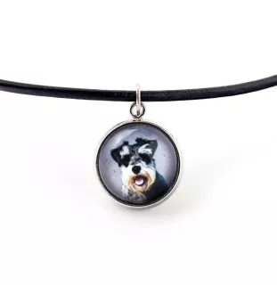 Schnauzer - jewelry with your photo box, set of necklace and earrings, personalized products from the Art-Dog brand