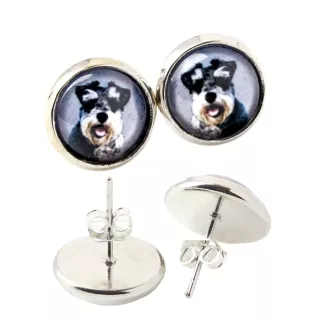 Schnauzer - earrings in a box, your photo, handmade jewelry, a product of the Art-Dog brand