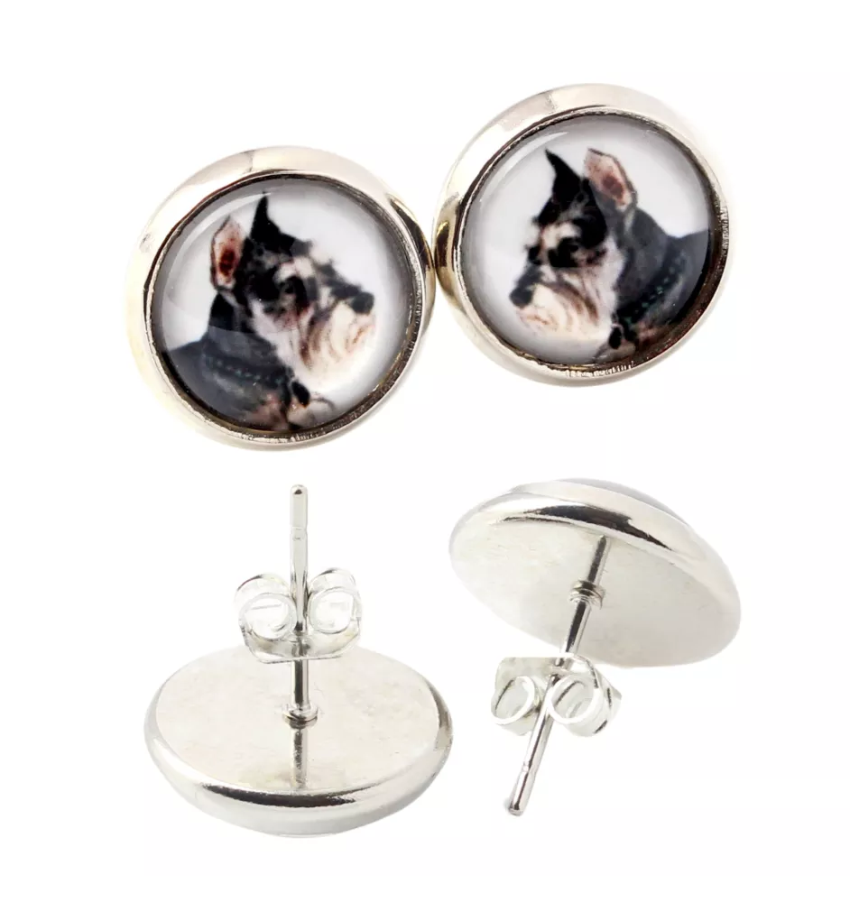 Schnauzer I - boucles d'oreilles dans une boîte, votre photo, bijoux faits à la main, produit de la marque Art-Dog.