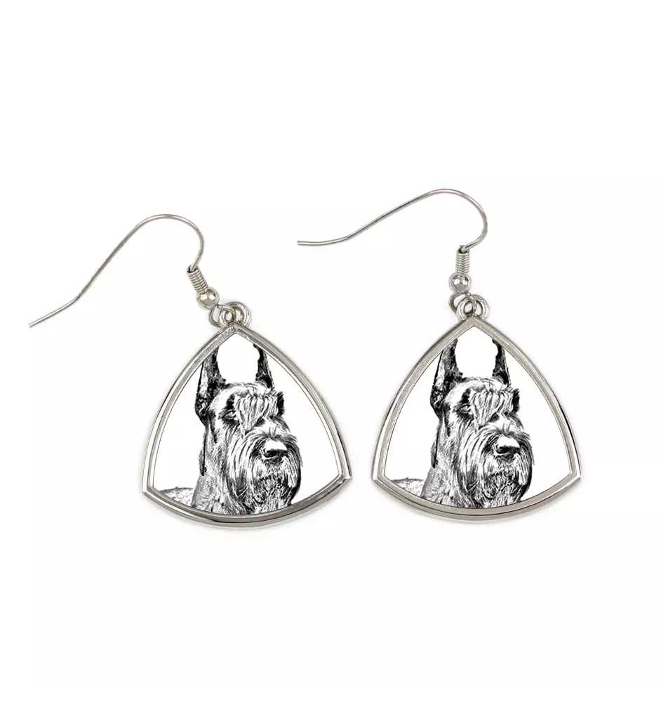 Schnauzer I - Hund Ohrringe, hängende Ohrringe mit Bild, personalisierter Schmuck mit dem Aufdruck der Marke Art-Dog