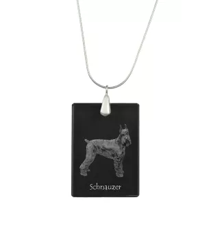 Schnauzer I - Pendentif en cristal avec chien, collier en argent avec photo, pendentif personnalisé par la marque Art-Dog