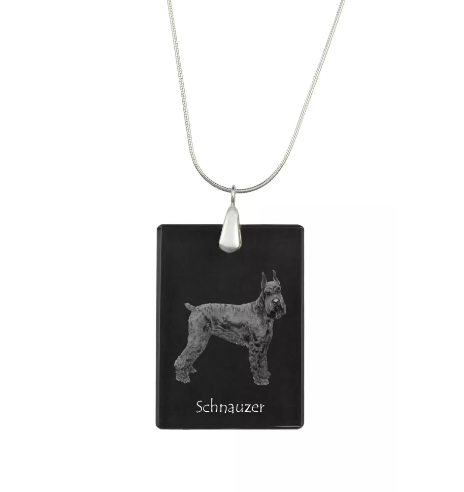 Schnauzer I - Pendentif en cristal avec chien, collier en argent avec photo, pendentif personnalisé par la marque Art-Dog