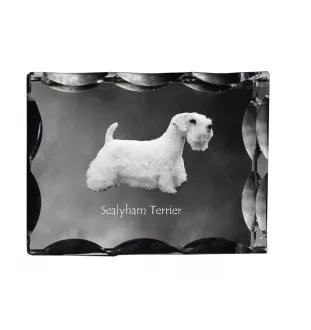 Sealyham Terrier - Kristall mit einem Hundebild, Glasstatuette mit einem Bild, einzigartiger Bilderrahmen der Marke Art-Dog