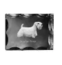 Sealyham Terrier - Kristall mit einem Hundebild, Glasstatuette mit einem Bild, einzigartiger Bilderrahmen der Marke Art-Dog