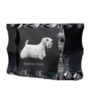 Sealyham Terrier ramka kryształowa z psem Art-Dog
