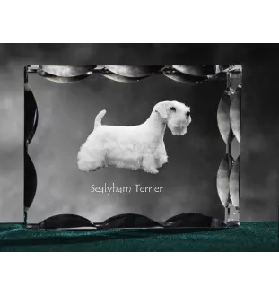 Sealyham Terrier - Kristall mit einem Hundebild, Glasstatuette mit einem Bild, einzigartiger Bilderrahmen der Marke Art-Dog