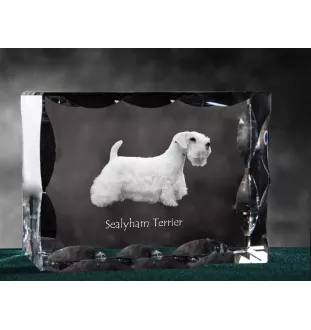 Sealyham Terrier - cristal avec photo de chien, statuette en verre avec photo, cadre exceptionnel avec photo de la marque Art-Dog