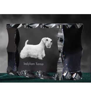 Sealyham Terrier - cristal avec photo de chien, statuette en verre avec photo, cadre exceptionnel avec photo de la marque Art-Dog