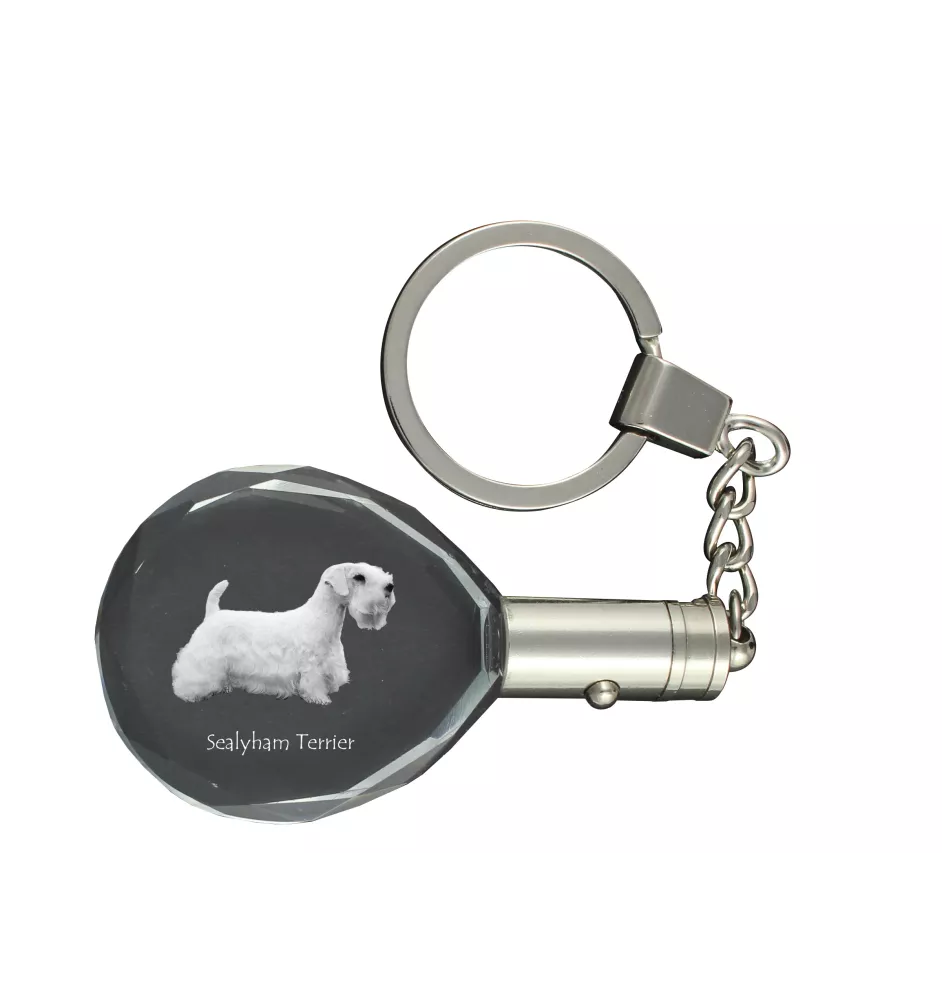 Sealyham Terrier - pendentif avec une photo de chien, porte-clés en cristal dans une boîte cadeau, un cadeau unique par Art-Dog