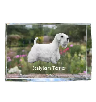 Sealyham Terrier - Kristall mit einem Hundebild, Bild im Glas, moderne Ausstellung des Art-Dog-Bildes.