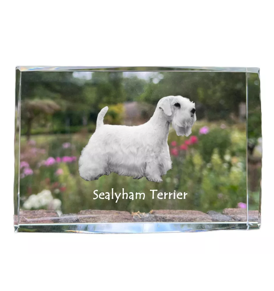 Sealyham Terrier - cristal avec une photo de chien, photo sous verre, exposition moderne de la marque de photos Art-Dog