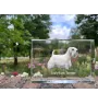 Sealyham Terrier kryształ z psem Art-Dog