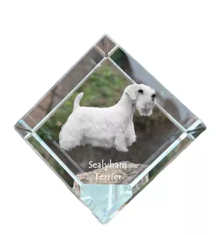 Sealyham Terrier, Welsh Border Terrier, Cowley Terrier - crystal cube with a photo, photo of a horse in crystal, cubic paperweight from Art-Dog brand
