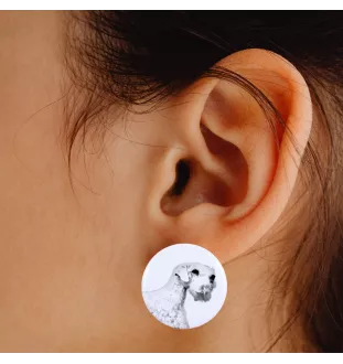 Sealyham Terrier, Welsh Border Terrier, Cowley Terrier - unique dog earrings, your pet on a keychain, Art-Dog's own brand