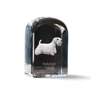 Sealyham Terrier, Welsh Border Terrier, Cowley Terrier - crystal cube with a photo, photo of a dog in crystal, cubic paperweight from Art-Dog brand