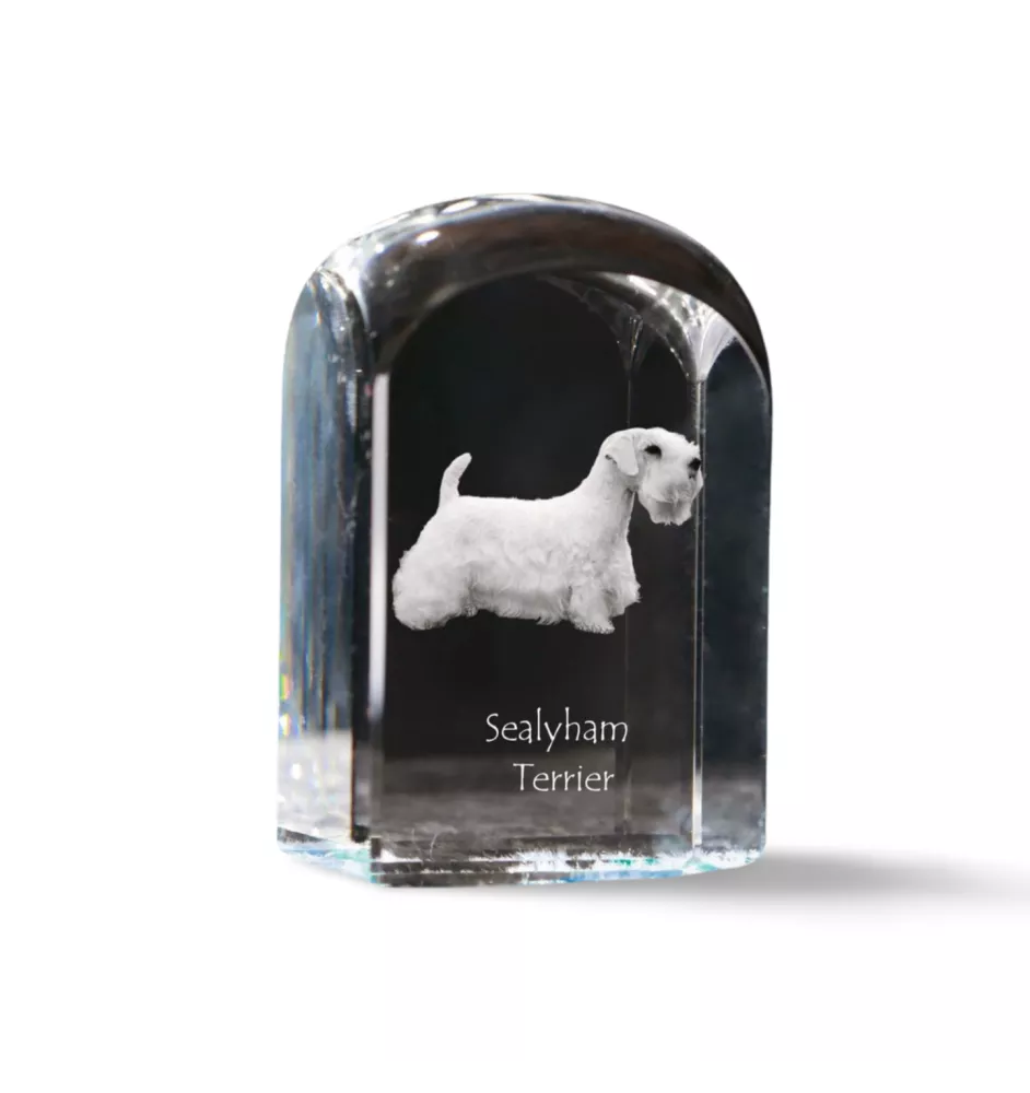 Sealyham Terrier - un cube de cristal avec une photo, une photo de chien dans le cristal, un presse-papiers cubique de la marque Art-Dog