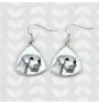 Sealyham Terrier, Welsh Border Terrier, Cowley Terrier - dog earrings, hanging earrings with a picture, personalized jewelry with Art-Dog brand print