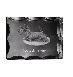 Scottish terrier, Aberdeen Terrier, Scottie, Aberdeenie - crystal with a picture of a dog, glass statuette with a picture, unique frame with a picture from Art-Dog brand