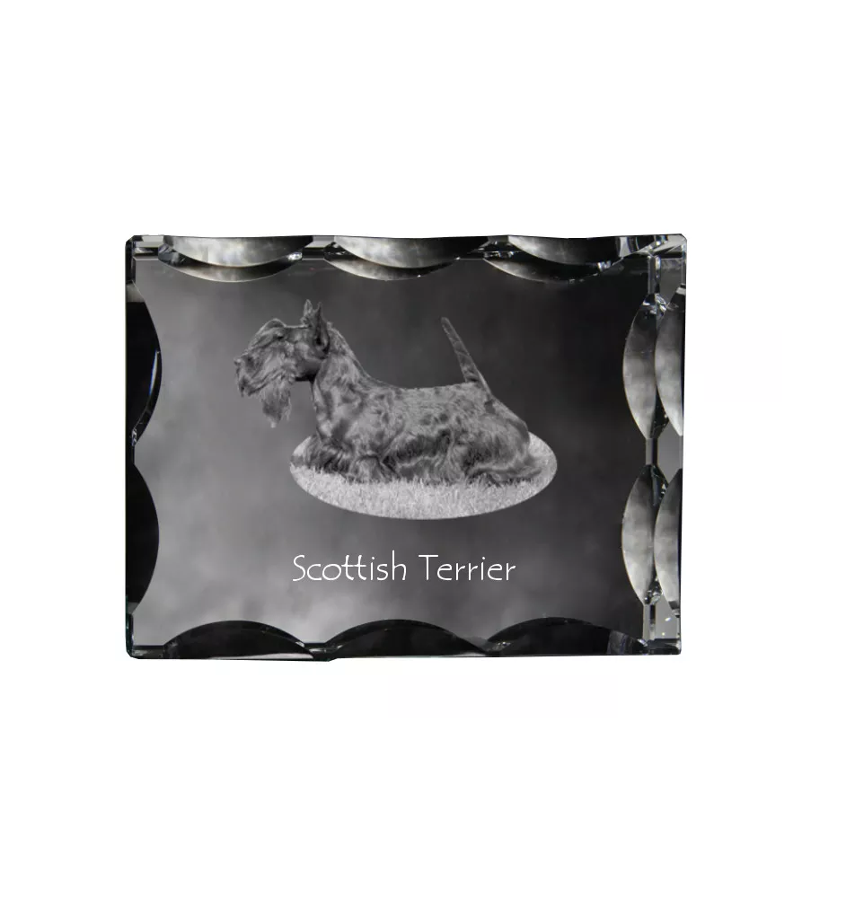 Scottish terrier, Aberdeen Terrier, Scottie, Aberdeenie - crystal with a picture of a dog, glass statuette with a picture, unique frame with a picture from Art-Dog brand