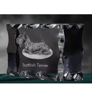 Scottish terrier, Aberdeen Terrier, Scottie, Aberdeenie - crystal with a picture of a dog, glass statuette with a picture, unique frame with a picture from Art-Dog brand