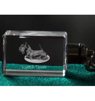 Schottischer Terrier, Scottish terrier - Schlüsselanhänger aus Kristall mit Hundefoto, beleuchteter Schlüsselanhänger, einzigartiges Geschenk der Marke Art-Dog