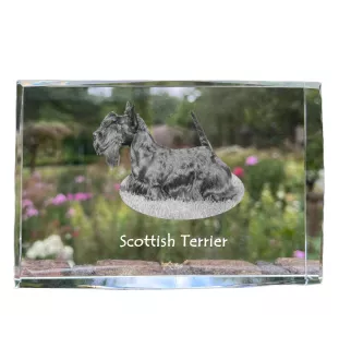 Schottischer Terrier, Scottish terrier - Kristall mit einem Hundebild, Bild im Glas, moderne Ausstellung des Art-Dog-Bildes.