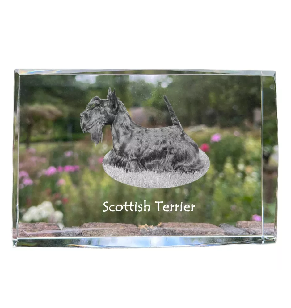 Scottish terrier, Aberdeen Terrier, Scottie, Aberdeenie - crystal with a picture of a dog, photo in glass, modern exhibition of Art-Dog brand photo