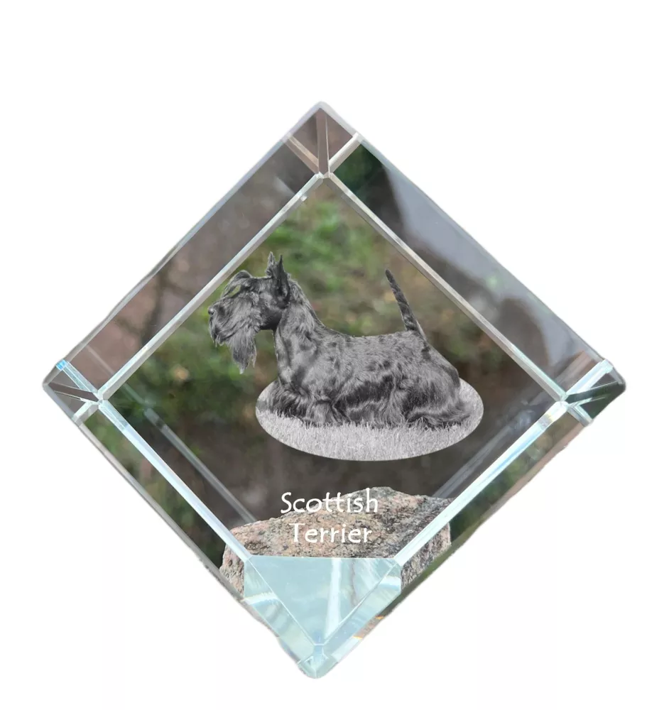 Schottischer Terrier, Scottish terrier - Kristallwürfel mit Bild, Pferdebild im Kristall, sechseckiger Papierclip der Marke Art-Dog