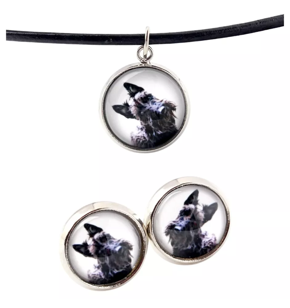 Terrier écossais, Scottish terrier - boîte à bijoux avec votre photo, ensemble collier et boucles d'oreilles, produits personnalisés de la marque Art-Dog