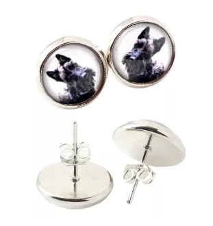 Scottish terrier, Aberdeen Terrier, Scottie, Aberdeenie - earrings in a box, your photo, handmade jewelry, a product of the Art-Dog brand