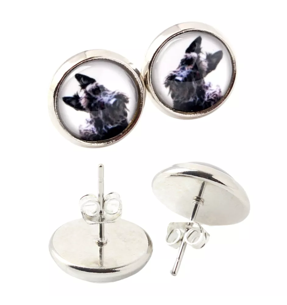 Scottish terrier, Aberdeen Terrier, Scottie, Aberdeenie - earrings in a box, your photo, handmade jewelry, a product of the Art-Dog brand
