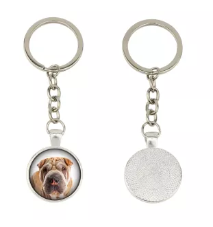 Shar Pei - Schlüsselanhänger in einer Box, eigenes Foto, Schlüsselanhänger der Marke Art-Dog