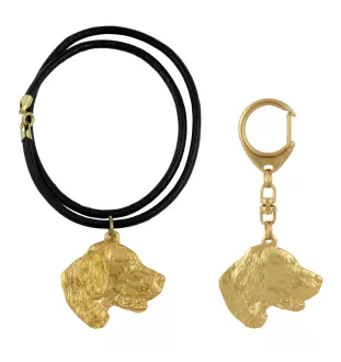 Setter anglais, Setter laverack - porte-clés et collier avec chien dans une boîte, produit plaqué or de haute qualité, marque Art-Dog