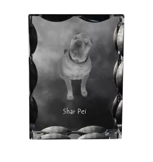 Shar Pei - crystal with a picture of a dog, glass statuette with a picture, unique frame with a picture from Art-Dog brand