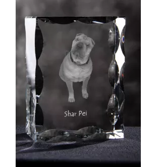Shar Pei - crystal with a picture of a dog, glass statuette with a picture, unique frame with a picture from Art-Dog brand