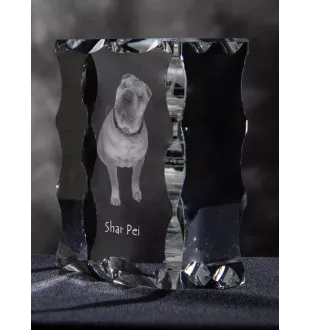 Shar Pei - cristal avec photo de chien, statuette en verre avec photo, cadre exceptionnel avec photo de la marque Art-Dog