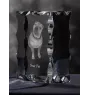 Shar Pei - crystal with a picture of a dog, glass statuette with a picture, unique frame with a picture from Art-Dog brand