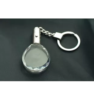 Shar Pei - pendentif avec une photo de chien, porte-clés en cristal dans une boîte cadeau, un cadeau unique par Art-Dog