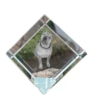 Shar Pei - crystal cube with a photo, photo of a horse in crystal, cubic paperweight from Art-Dog brand