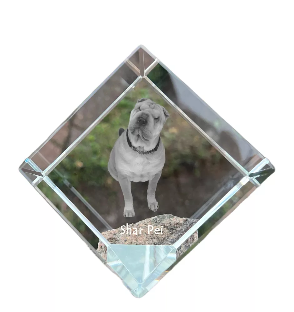 Shar Pei - crystal cube with a photo, photo of a horse in crystal, cubic paperweight from Art-Dog brand