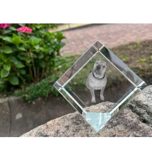 Shar Pei - crystal cube with a photo, photo of a horse in crystal, cubic paperweight from Art-Dog brand