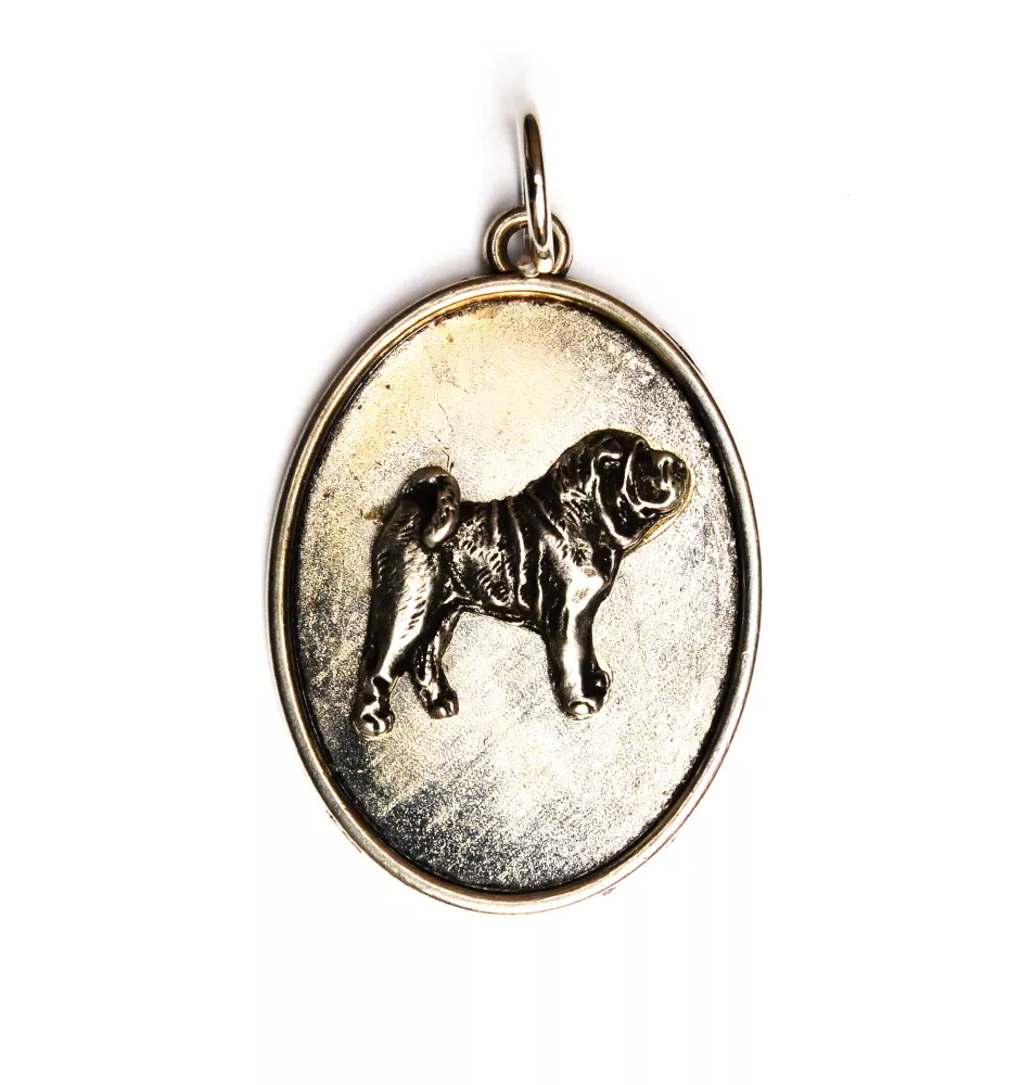 Shar Pei - necklace with a dog, pendant for a dog mom, unique jewelry from the Art-Dog brand