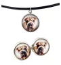 Shar Pei - Schmuck mit Ihrem Foto-Box, Halskette und Ohrringe-Set, personalisierte Produkte der Marke Art-Dog.