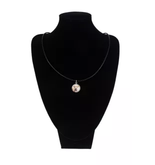 Shar Pei - boîte à bijoux avec votre photo, ensemble collier et boucles d'oreilles, produits personnalisés de la marque Art-Dog