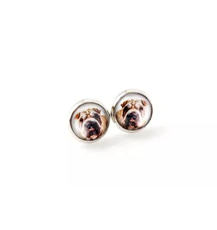 Shar Pei - jewelry with your photo box, set of necklace and earrings, personalized products from the Art-Dog brand